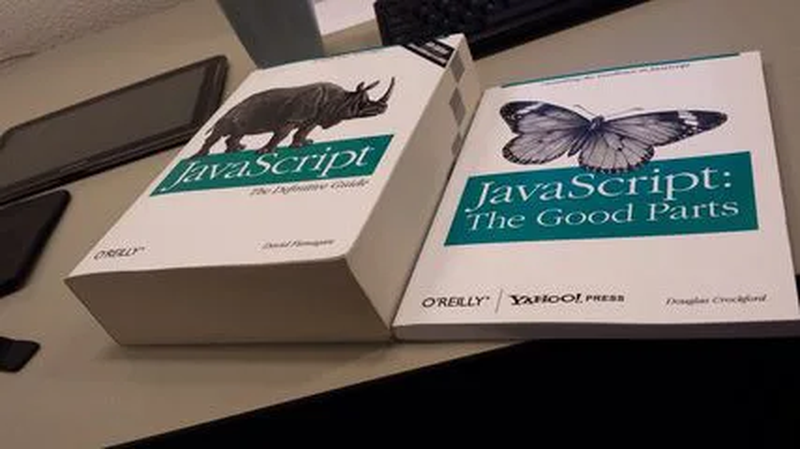 JavaScript Meme 9